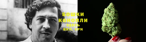 крисы Аркадак